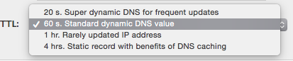 ra_add_hostname_set_custom_ttl