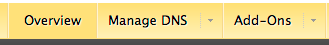 Manage DNS tab