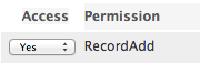 Add individual permissions to a user