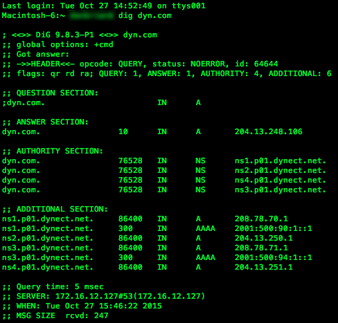 Dig dns